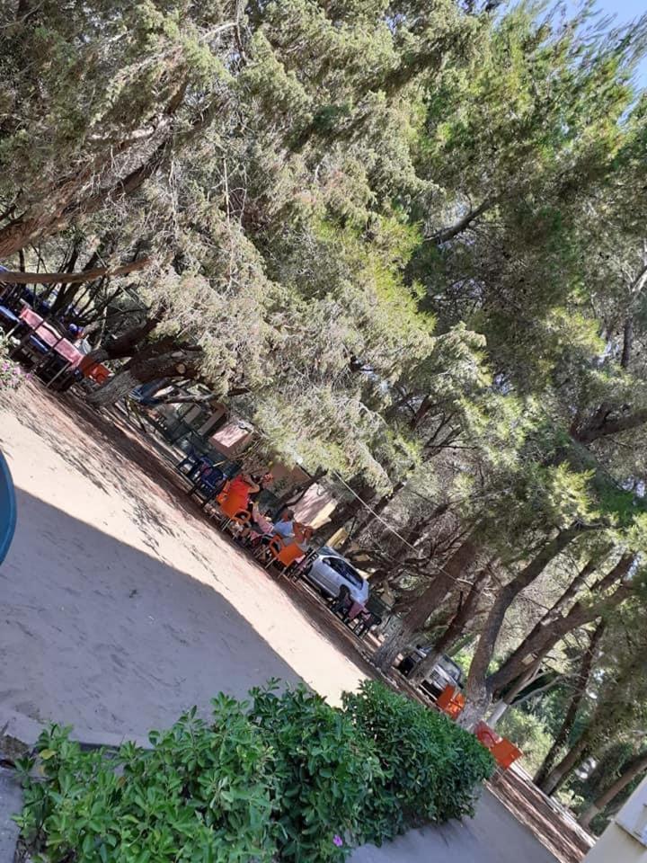 Divjaka Park Eksteriør billede